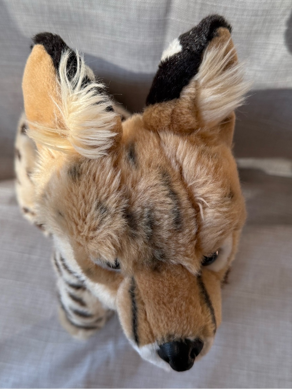 2017 SOS Save Our Space Serval Plush Rare Discounted – Collectible Big Cat - Picture 10 of 16